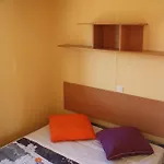 Camping Le Bourdieu 3*
